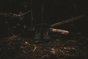person standing near tree