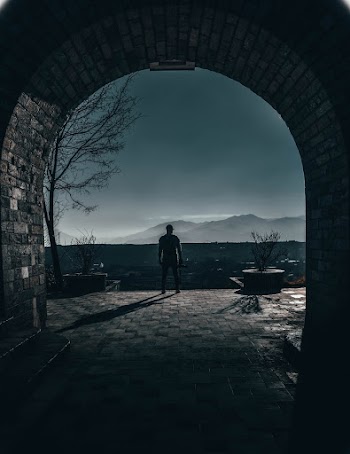 Person Standing Next to Tree