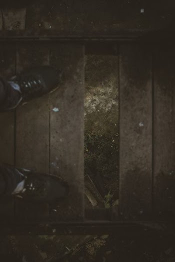 person standing of brown wooden bridge with missing plank