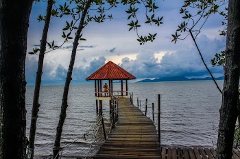 Person Standing on Boardwalk