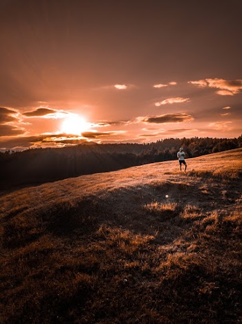 Person Standing on Brown Field during Sunrise