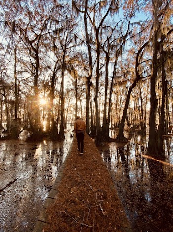 Person Standing On Concrete Bridge Near Trees