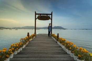 Person Standing On Dock Surround With Flowers