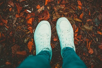 Person Standing On Dry Leaves