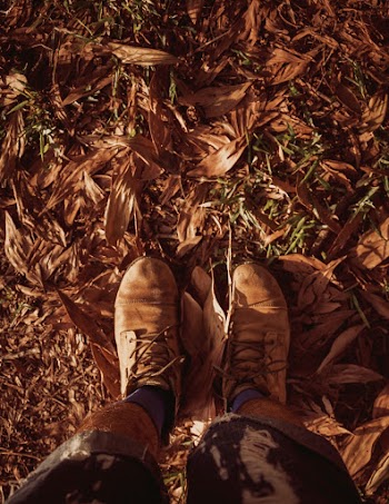 Person Standing on Dry Leaves