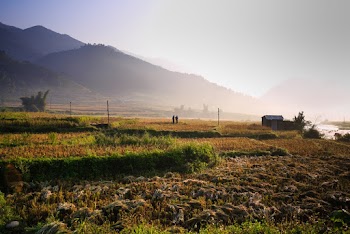 Person Standing on Field Near House