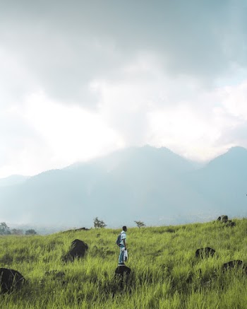 Person Standing on Grass Field Under Cloudy Sky