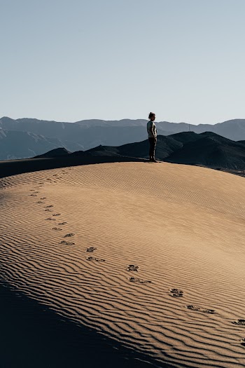 Person Standing on High Ground