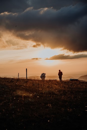 Person Standing on Hill