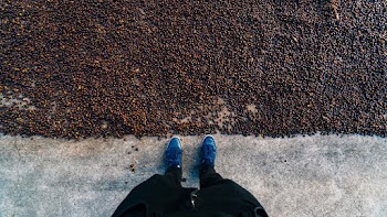 person standing on pavement