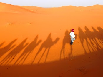Person Standing On Sand