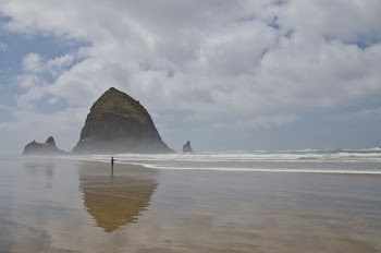 person standing on seashore with hill