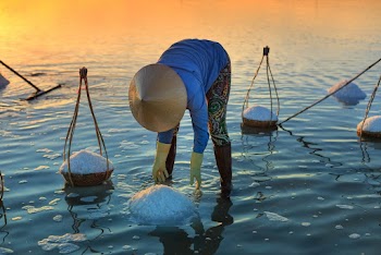 Person Standing on Shore