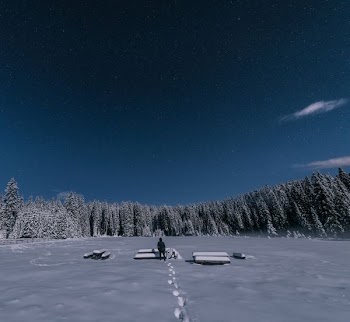 Person Standing on Snow Covered Plain