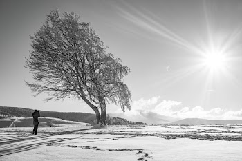 Person Standing on Snow Field