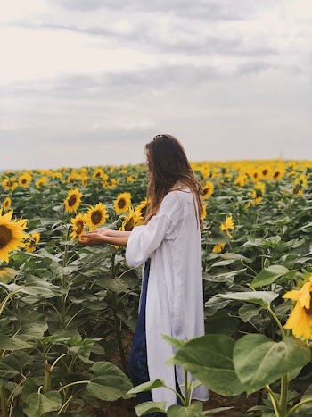 Person Standing on Sunflower Field