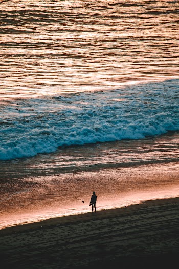 Person Standing On The Shore
