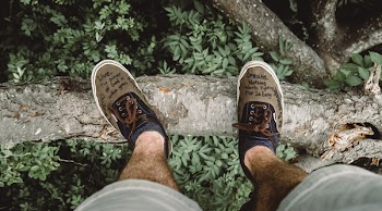 Person Standing on Tree Trunk