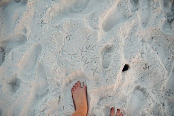 Person Standing on White Sand