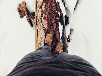 person standing on wood log