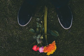 Person Standing Over Assorted Color Flowers