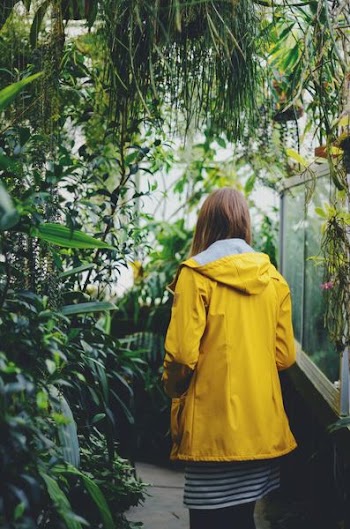 person standing surrounded by plants