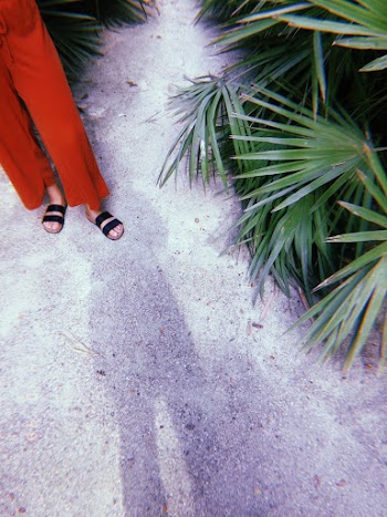 Person Standing  wearing  Red Pants Beside Green Plant