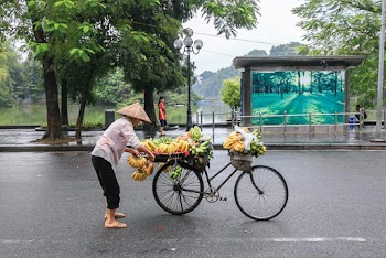 Person Standing While Holding Two Bunches of Bananas