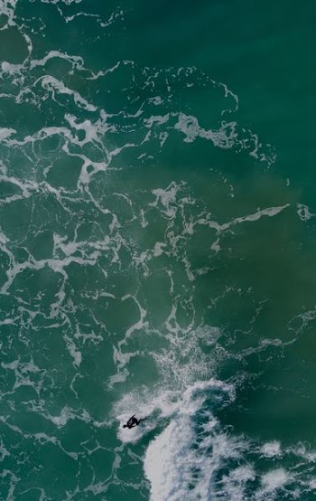 person swimming in body of water