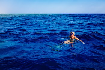 Person Swimming in Body of Water
