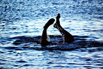 Person Swimming on Body of Water