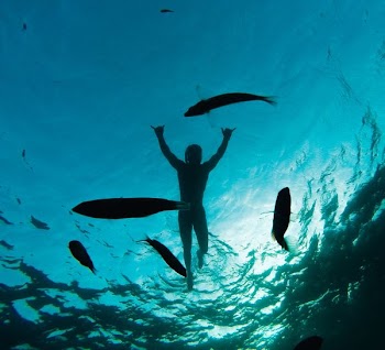 person swimming under sea