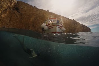 person swimming underwater
