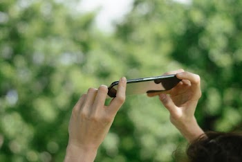 Person Taking A Picture