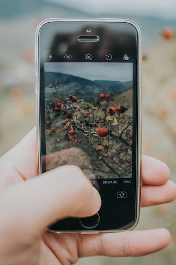Person Taking Photo 