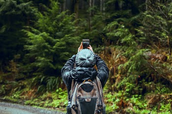 Person Taking Photo Of Forest