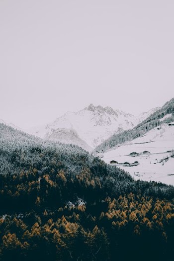 person taking photo of gray mountain