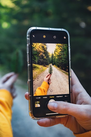 Person Taking Photo Of Leaf