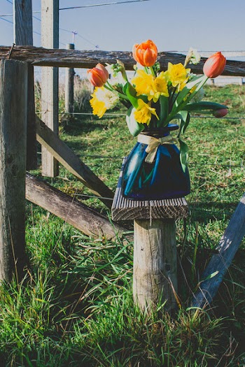 Person Taking Photo of Pink and Yellow Flowers With Vase on Wooden Stand