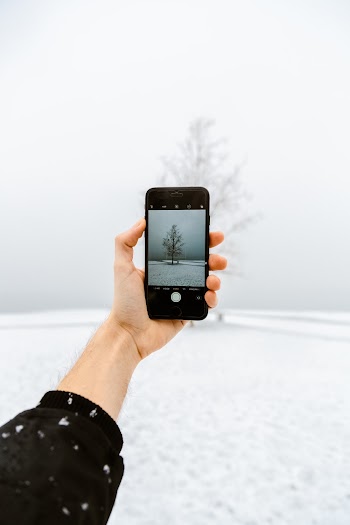 Person Taking Photo of Tree Covered With Snow