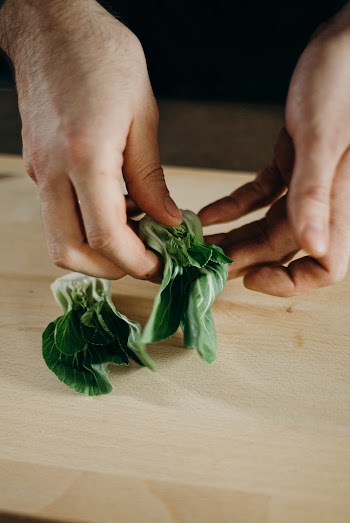 Person Touching Green Leaf