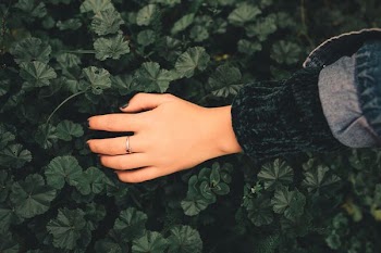 person touching green leaves