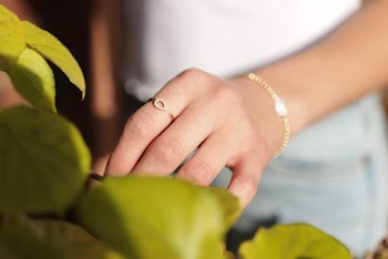 Person Touching Green Leaves