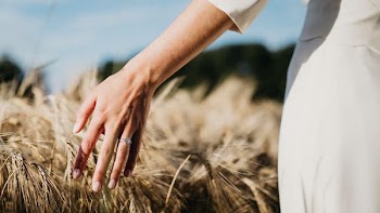 person touching wheat plants