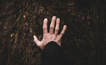 person tounching tree