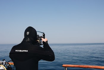 Person Using Camera