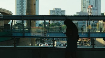 Person Using Cellphone