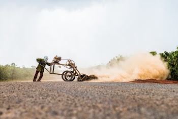 Person Using Cultivator in Crop Field