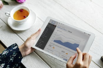 Person Using Ipad Looking At Chart