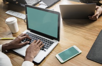 Person Using Laptop